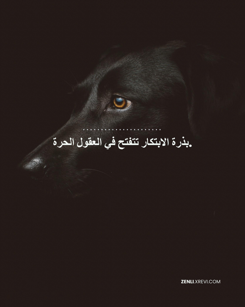 بذرة الابتكار تتفتح في العقول الحرة.
