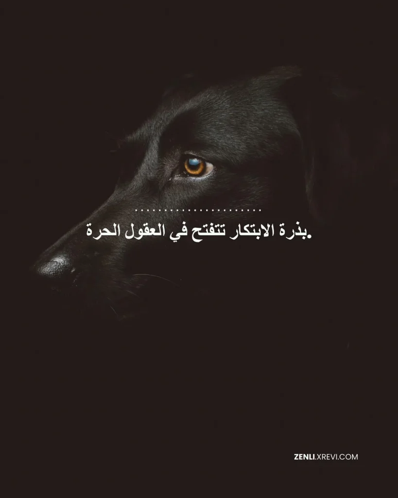 بذرة الابتكار تتفتح في العقول الحرة.