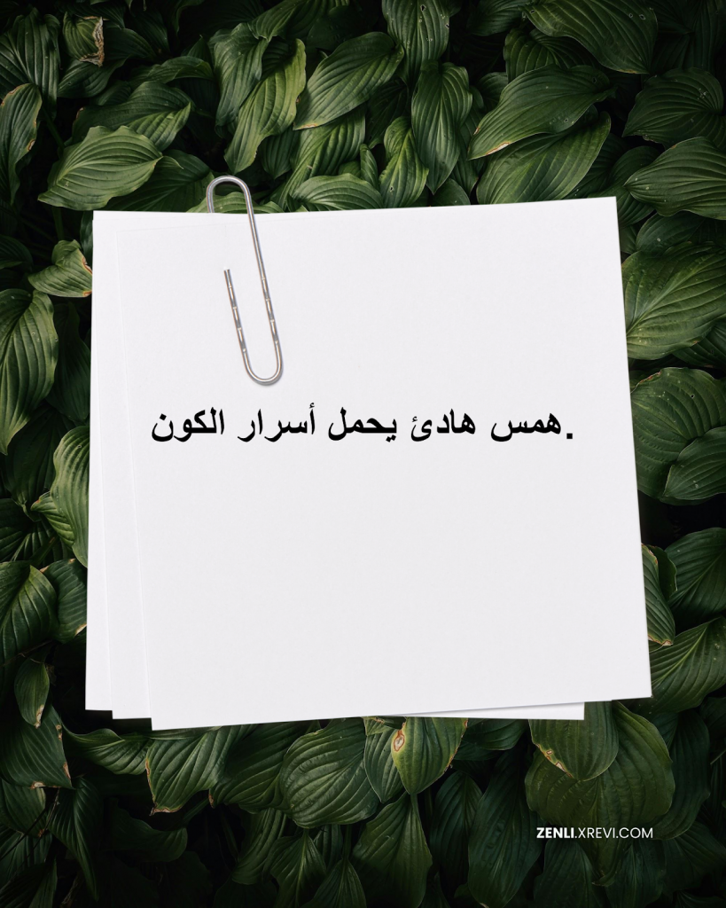 همس هادئ يحمل أسرار الكون.