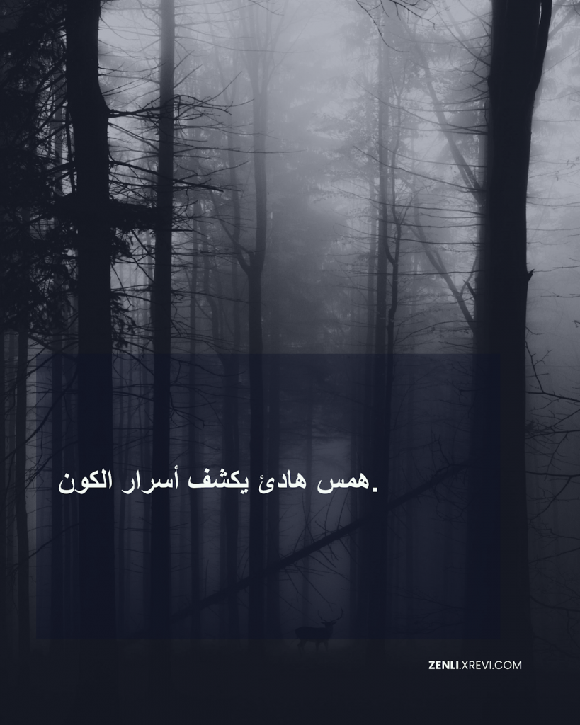 همس هادئ يكشف أسرار الكون.