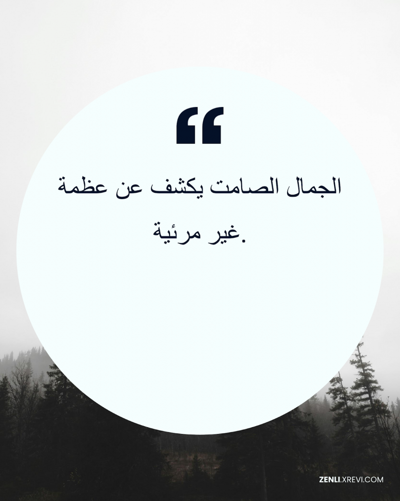 الجمال الصامت يكشف عن عظمة غير مرئية.