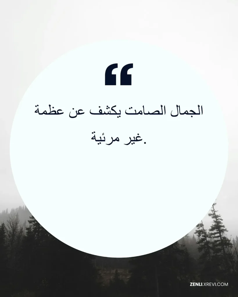 الجمال الصامت يكشف عن عظمة غير مرئية.