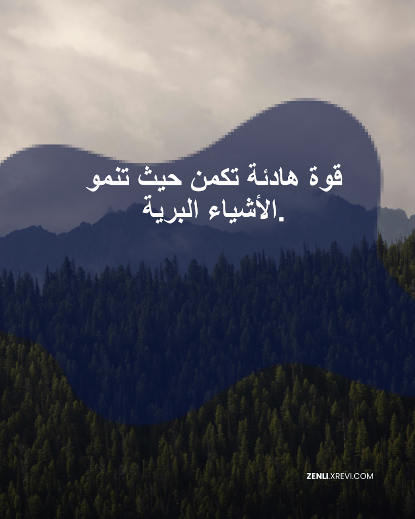 قوة هادئة تكمن حيث تنمو الأشياء البرية.