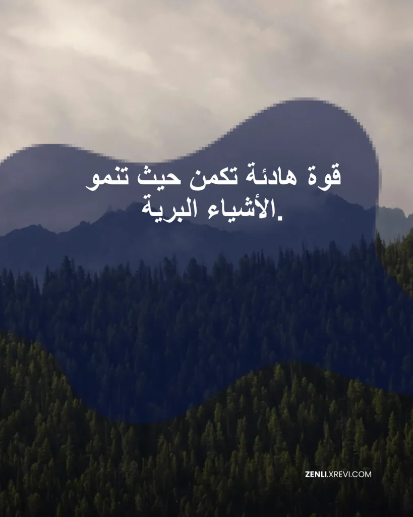 قوة هادئة تكمن حيث تنمو الأشياء البرية.