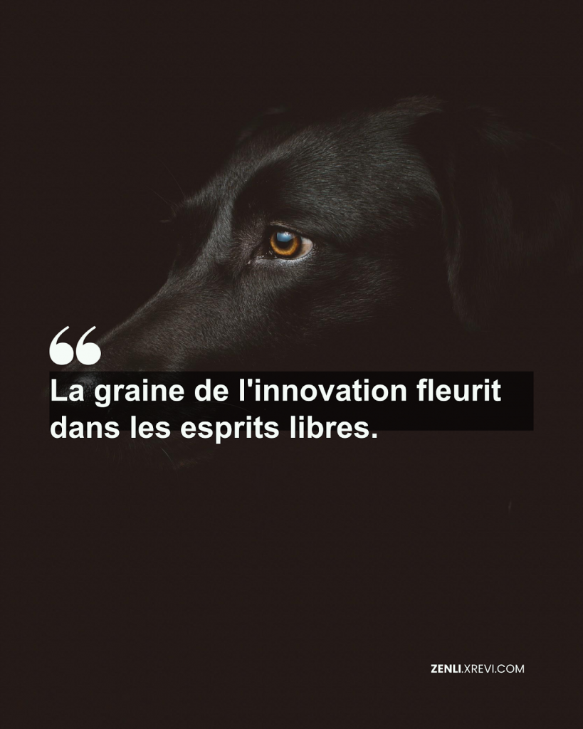 La graine de l’innovation fleurit dans les esprits libres.