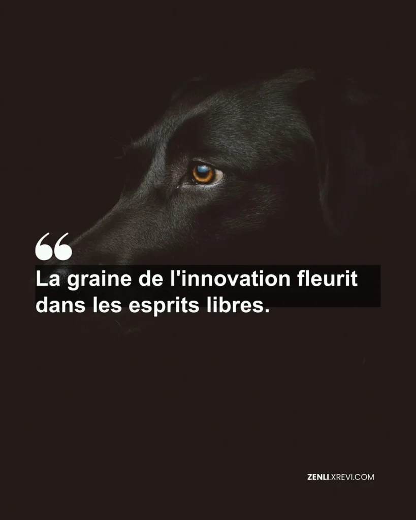 La graine de l’innovation fleurit dans les esprits libres.