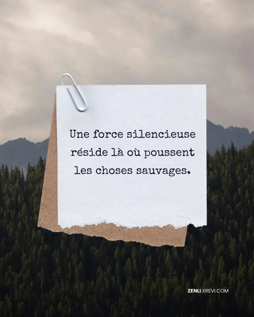 Une force silencieuse réside là où poussent les choses sauvages.