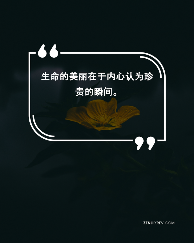 生命的美丽在于内心认为珍贵的瞬间。