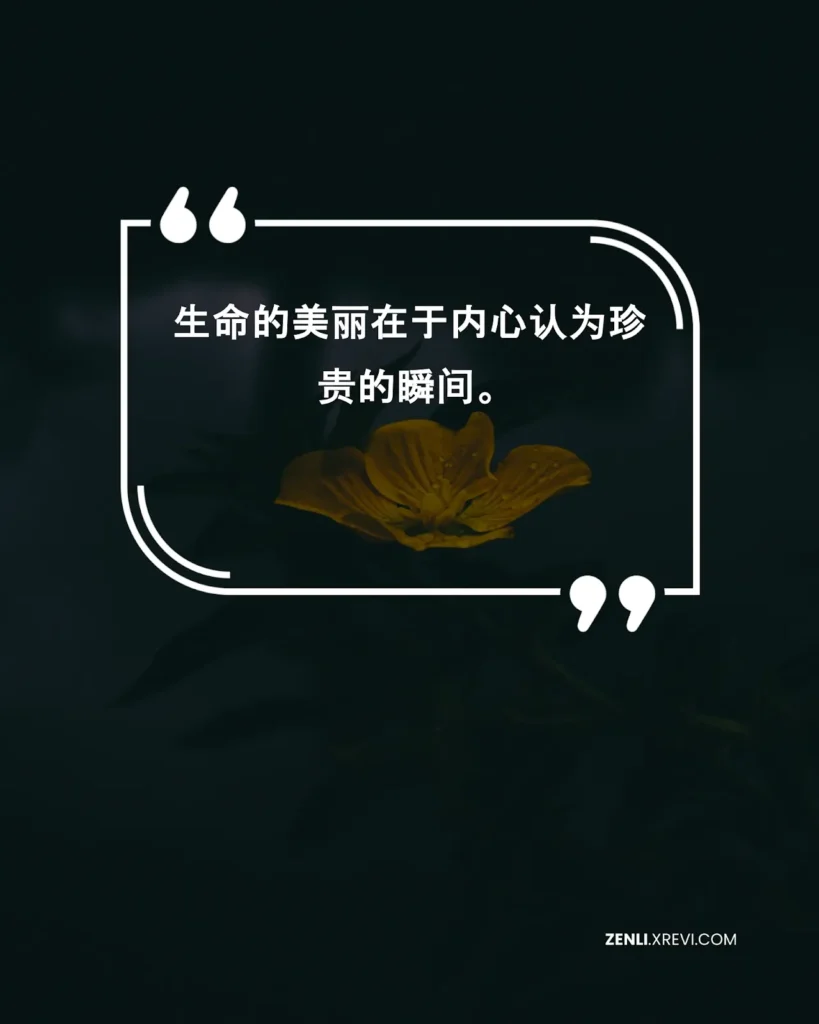 生命的美丽在于内心认为珍贵的瞬间。