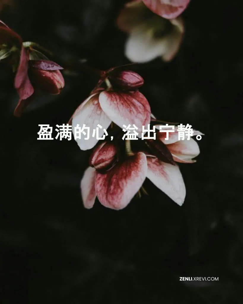 盈满的心，溢出宁静。