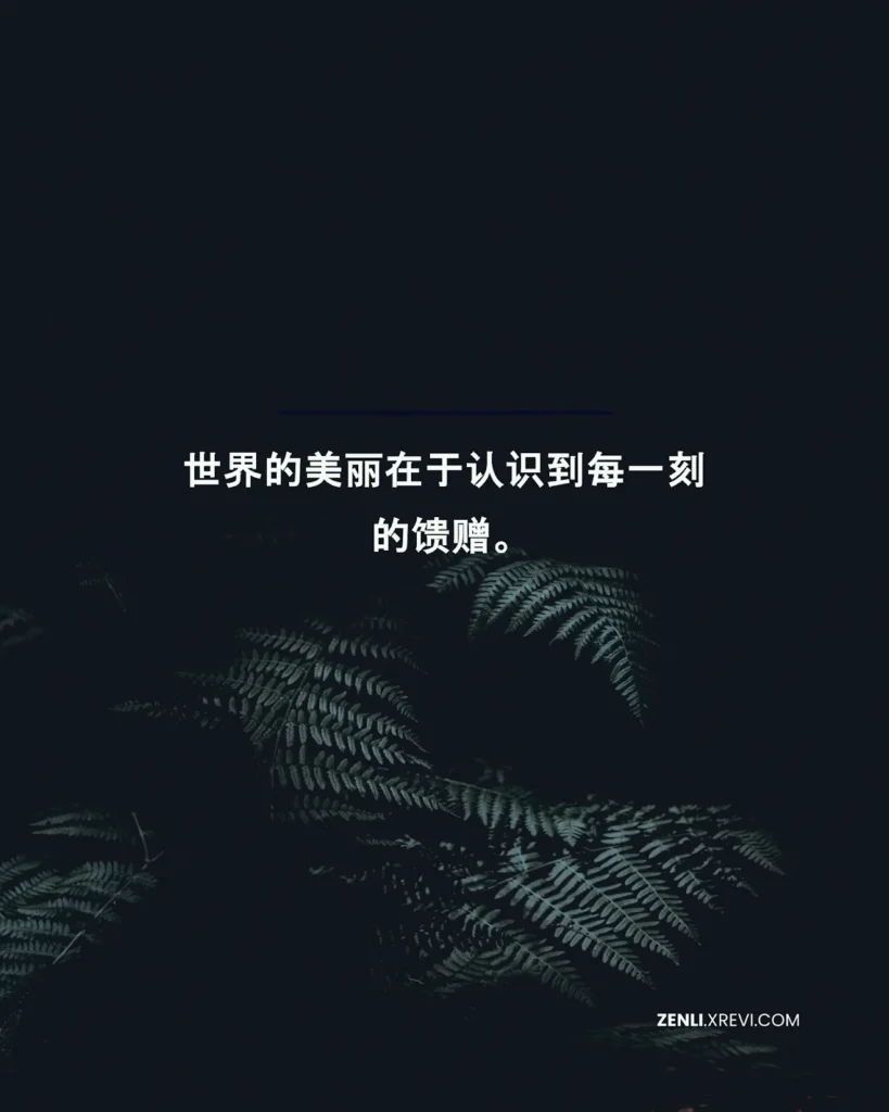 世界的美丽在于认识到每一刻的馈赠。