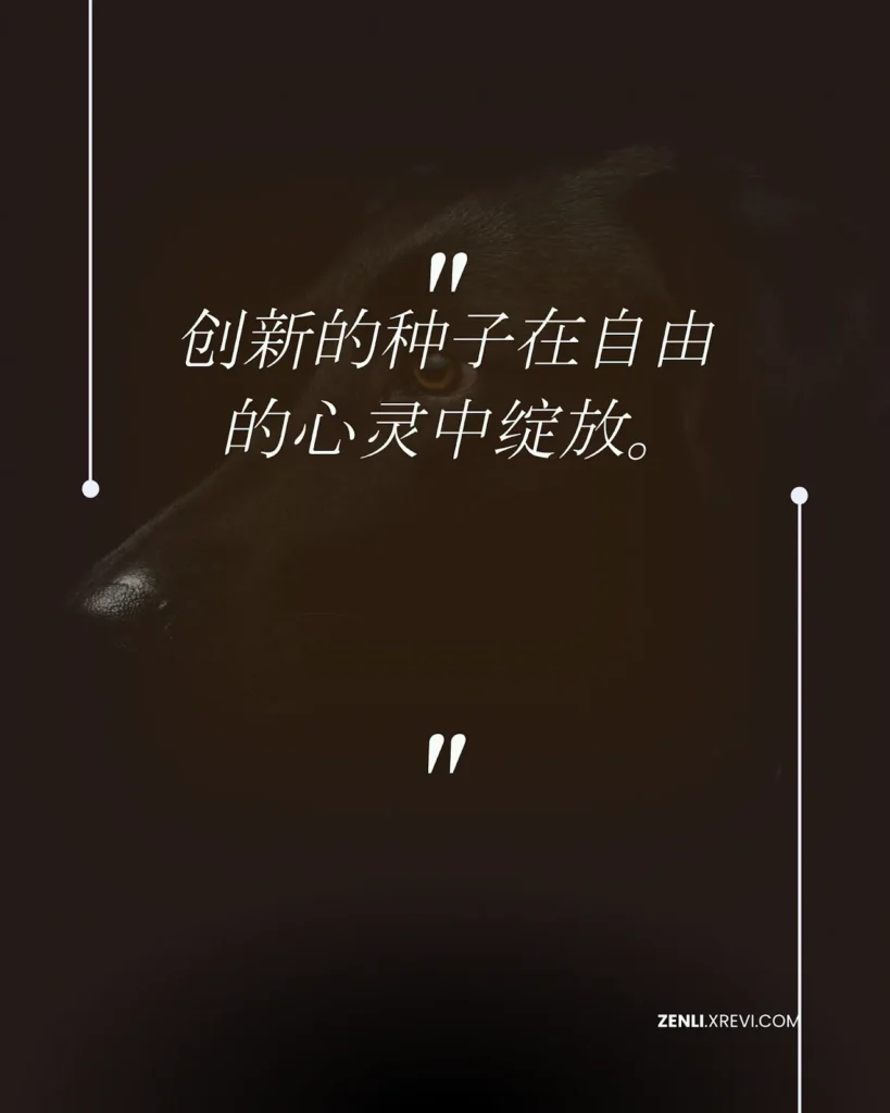 创新的种子在自由的心灵中绽放。