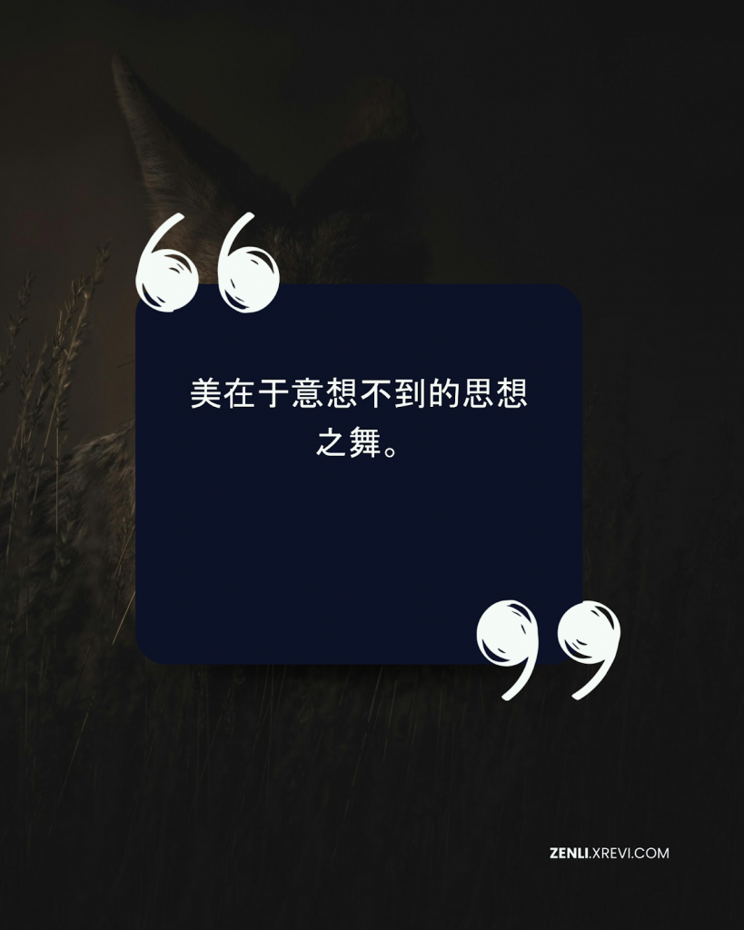美在于意想不到的思想之舞。