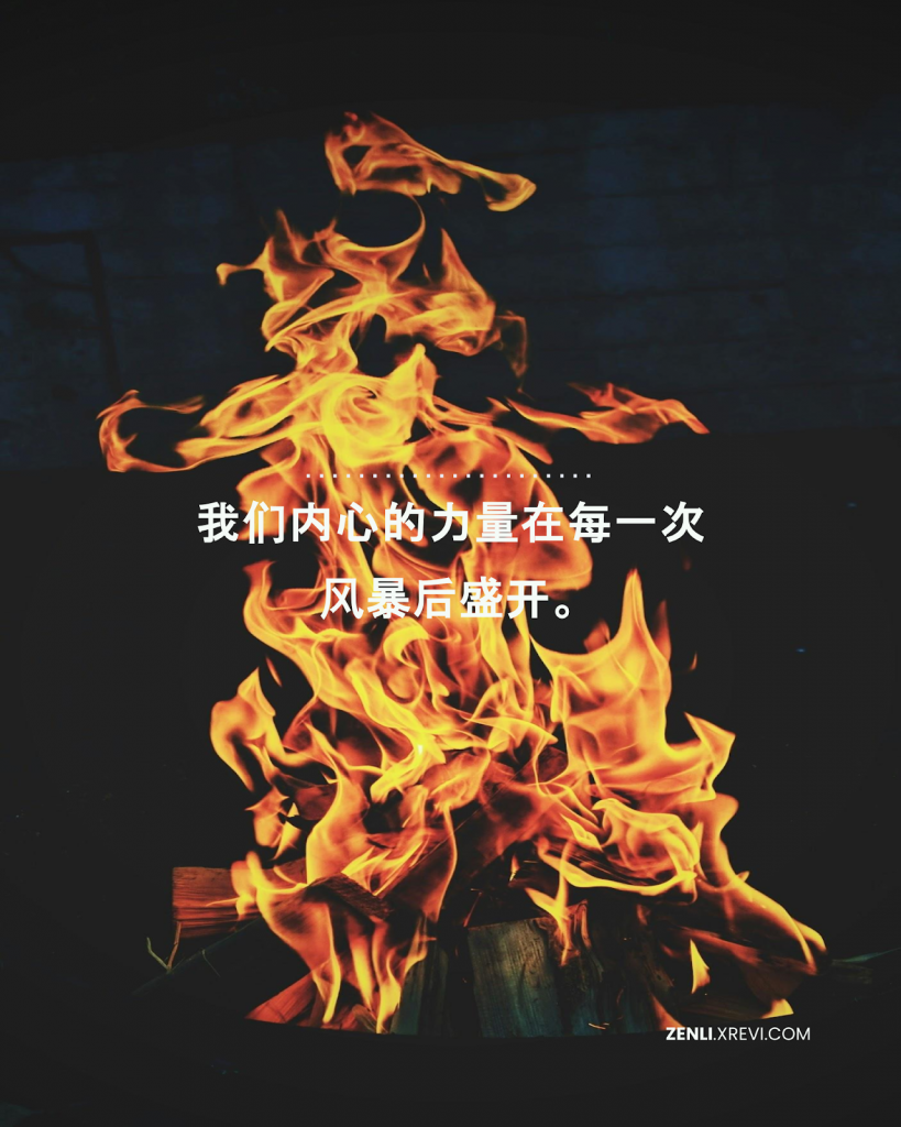 我们内心的力量在每一次风暴后盛开。