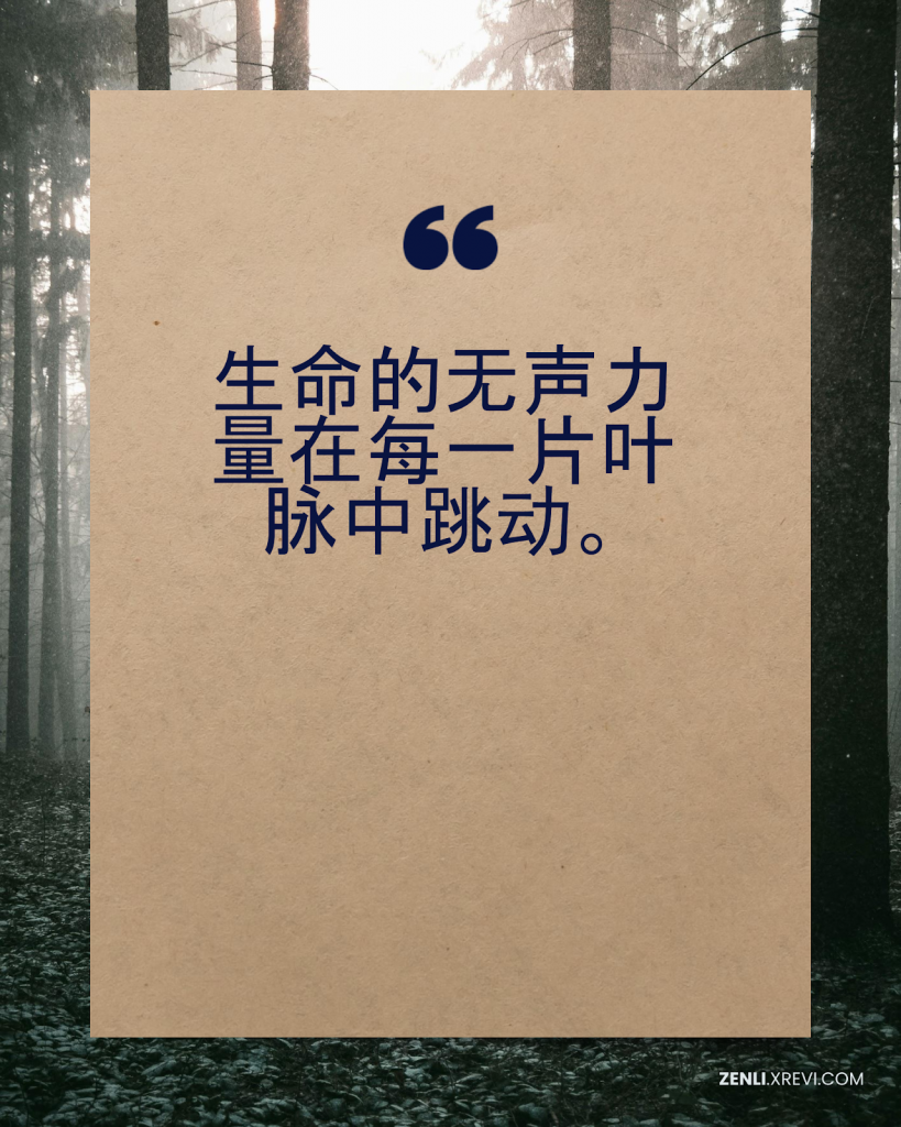 生命的无声力量在每一片叶脉中跳动。