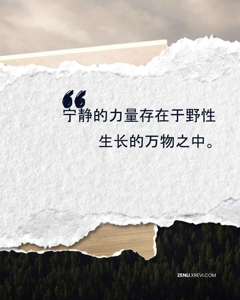 宁静的力量存在于野性生长的万物之中。