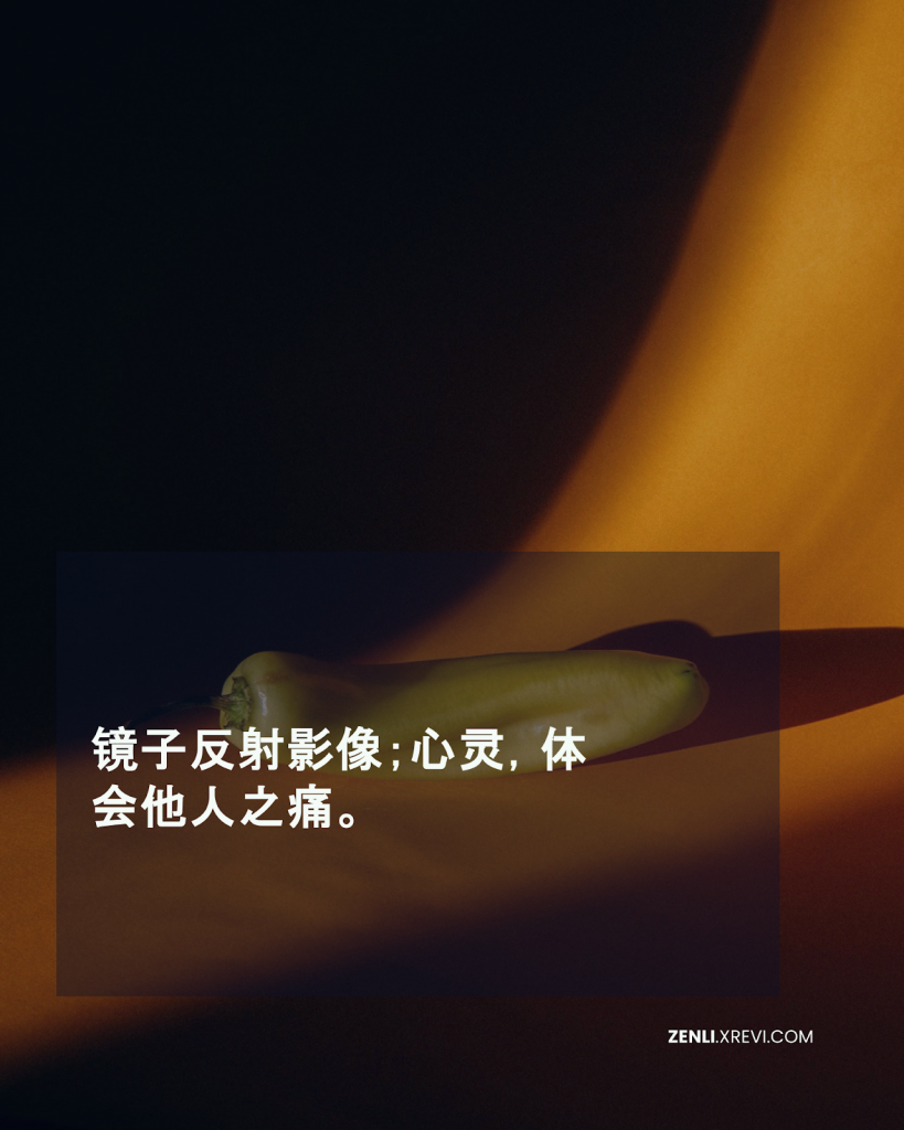 镜子反射影像；心灵，体会他人之痛。