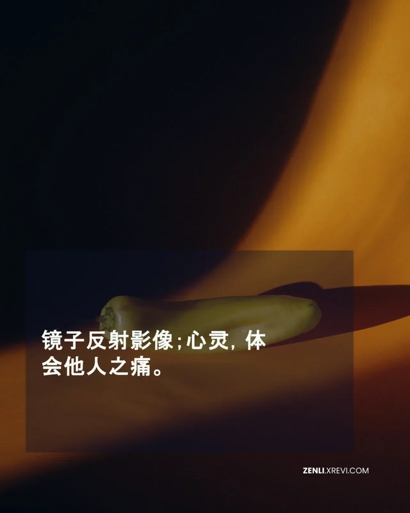 镜子反射影像；心灵，体会他人之痛。